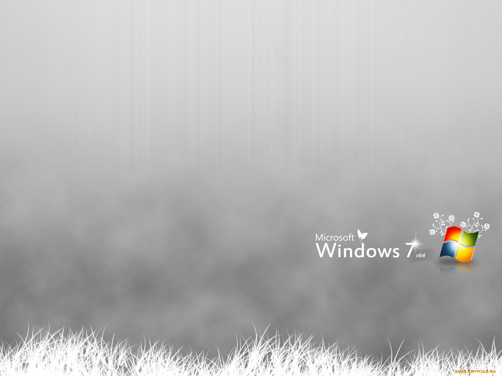, windows, vienna
